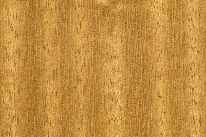 iroko