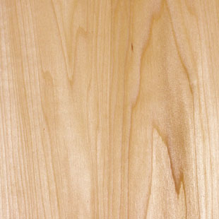 poplar